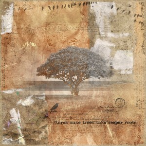 Storms make trees take deeper roots