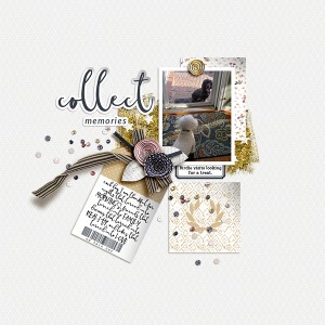 Collect Memories