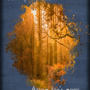 ATC-2020-029-Soak-up-the-Sun
