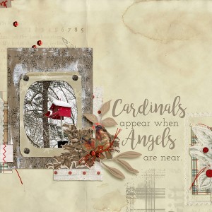 Cardinals