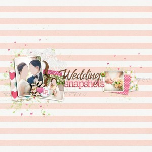 Wedding Snapshots