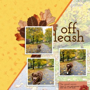 LOD_Soco_Off-Leash