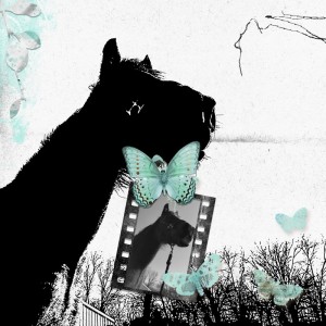 Feb 20 Scraplift