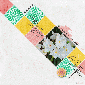 Style_Linear-PaperwhiteNarcissus