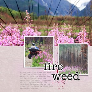 Template Challenge_Soco_03-2020_Fireweed