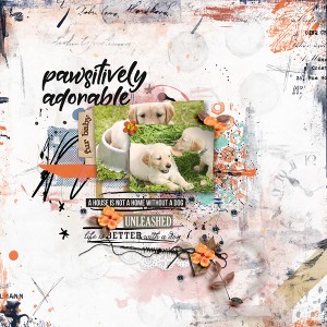 Pawsitively Adorable