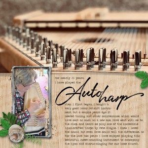 Photography Challenge_03-20_LowAngle_Autoharp