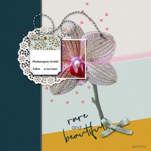 3-3sc_rare&beautiful