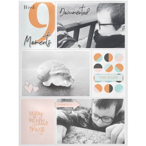 Week 9 - Moments