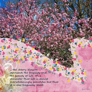 Random_cherryblossom