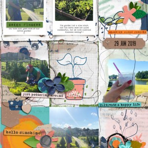 Garden 2019
