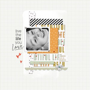Live the life you love
