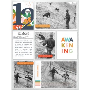 Week 12 - Awakening