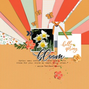 bloom