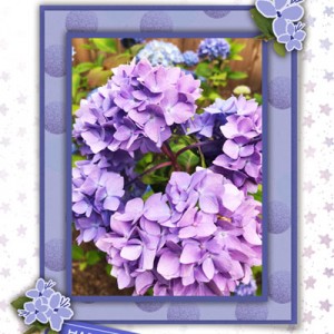 Elif Sahin Designs Challenge_03-20_Birthday-Hydrangeas-Card