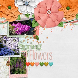 Spring Flowers
