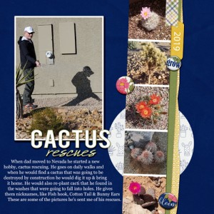 Cactus-Rescues