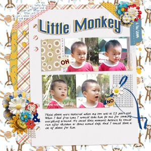 LITTLE MONKEY