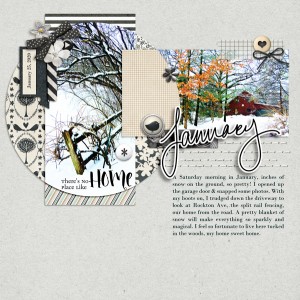 Scrapping-with-Liz_2020-03_March-36_web
