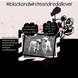 03_Wk-2_Hashtags-Lamb