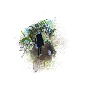 Wander