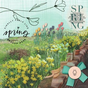3-10paislee-Press_spring