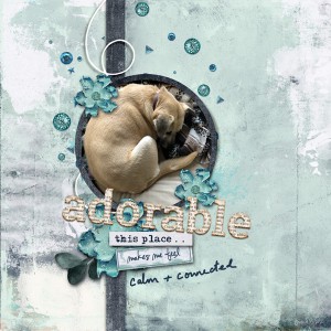 3-11fdd_adorable