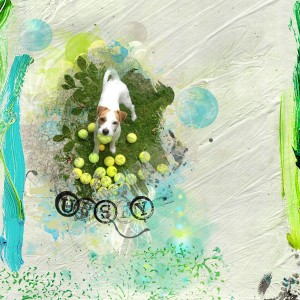 Nbk-URBAN-GARDEN1