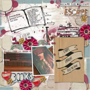 Seize-the-books