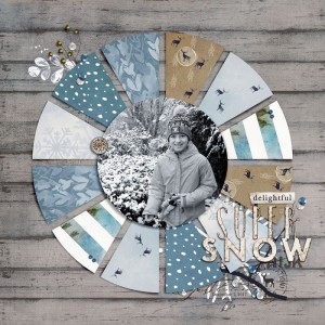 Snow Day- December 2017