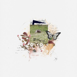 emergence
