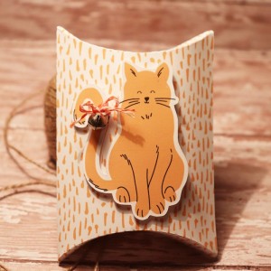 Kitty Cat Gift Pillow Box