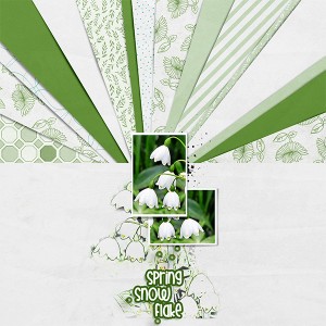 Spring-Snowflake