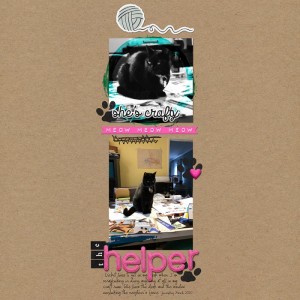 Helper032020SC