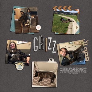 Grizz