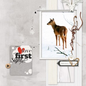 Pink-Reptile-Designs_2020-03_March_Blog-Template-Challenge_web