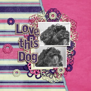 Love This Dog