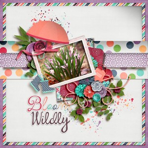 Bloom Wildly