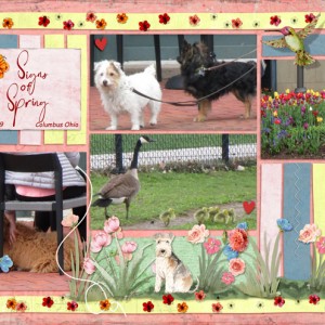 Signs-of-Spring