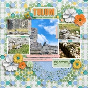 Iguana's March 2020 Photography Challenge