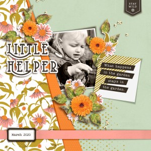 Little Helper
