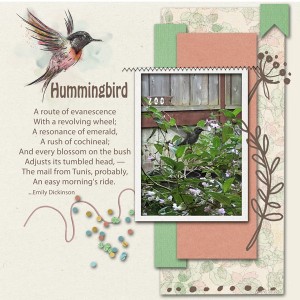 Prd_hummingbird
