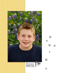 Allen_Bluebonnets