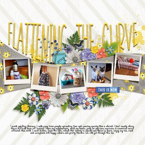 FlattenTheCurve