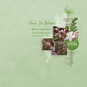 Trees In Bloom
