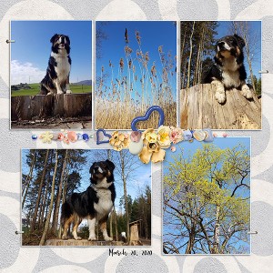 March Photography Challenge