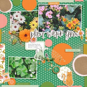 Pretty Flowers Bring Luck