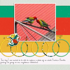 Sahin_Recipe_March_Rosellas