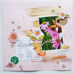 Echinacea