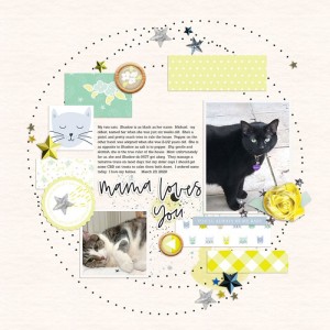 SahinDesigns_March_Blog_Challenge